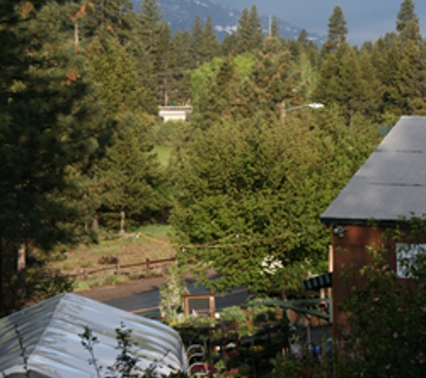 Villager Nursery & Landscape - Truckee, CA. Looking toward the front from back in the nursery.