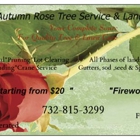 Autumn Rose Tree & Landscape Service