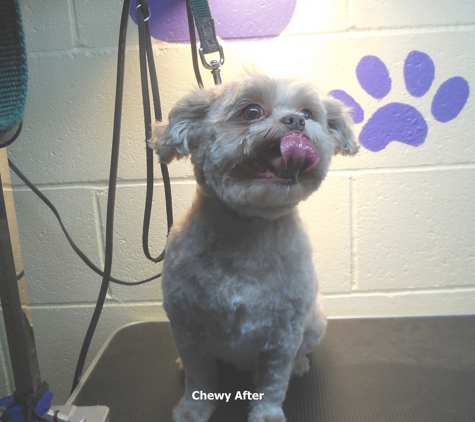 Tender Care Pet  Grooming - Davison, MI