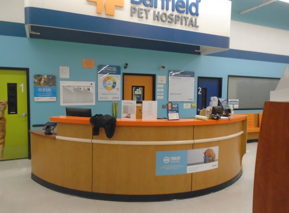 Banfield Pet Hospital - Phoenix, AZ