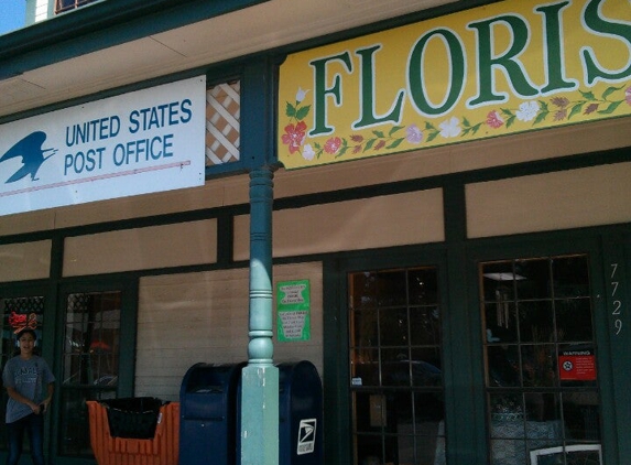 Flower Me Florist - San Antonio, TX