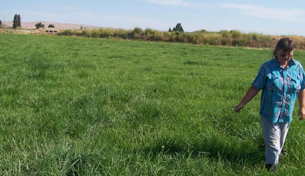 Holy Cow Grass Fed Beef - Wapato, WA