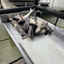 Big dawgs guide service - Fishing Guides