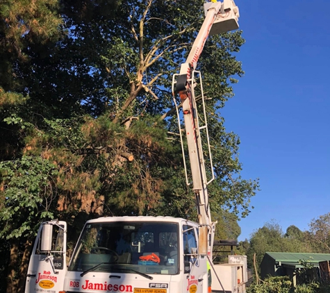 Rob Jamieson Tree & Stump Removal - Colac East, VIC