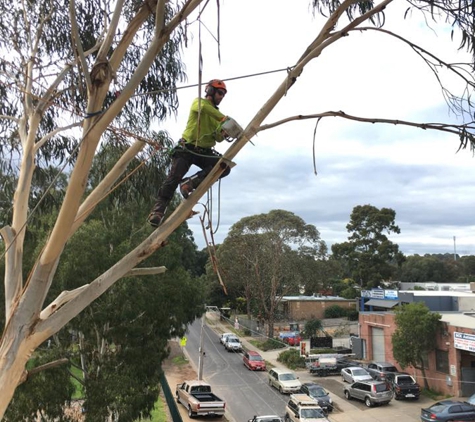 Gravity Tree Worx - Nerrina, VIC