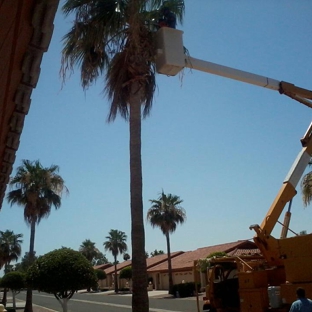 aaa the tree experts - mesa, AZ