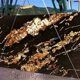 Ultimate Granite