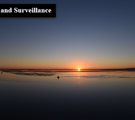 Yellowfin Robotic Solutions - Melbourne, VIC. Security and Surveillance