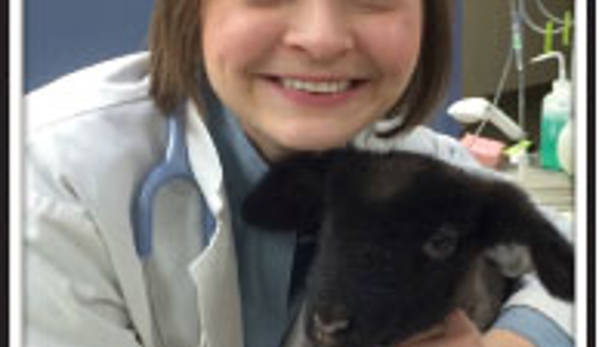 Silver Maple Veterinary Clinic - Kutztown, PA