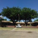 A&S lawn and Tree Service - Tree Service