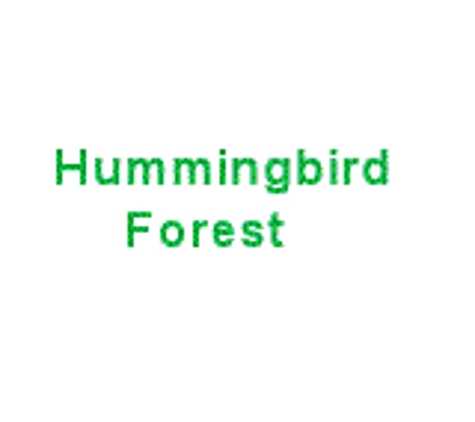 Hummingbird Forest - York, SC