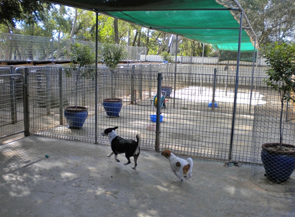 Berrima Boarding Kennels & Cattery - Berrima, NSW