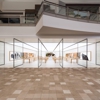 Apple Chandler Fashion Center gallery