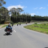 Pohutukawa Motorcycle Tours gallery