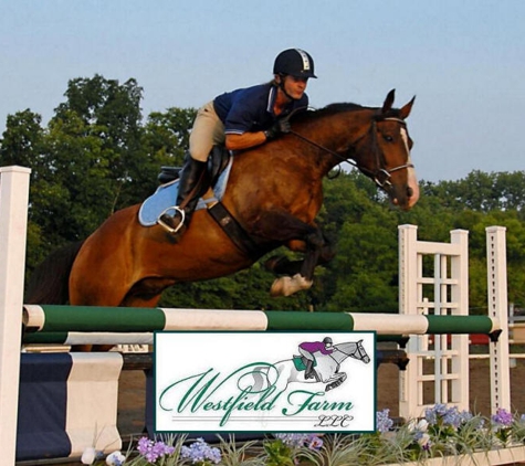 Westfield Equestrian Farm LLC - Dillsburg, PA