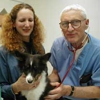 Belmont Pet Hospital gallery