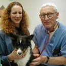 Belmont Pet Hospital - Dog Day Care