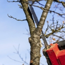 Alpha Tree Care Company - Tree Service