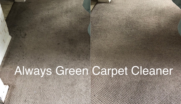 Always Green Carpet Cleaner - New York, NY