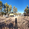 Peak View Tree Services gallery