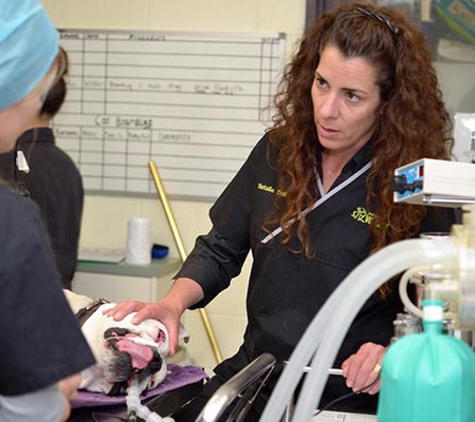 Peninsula Vet Care - Dromana, VIC