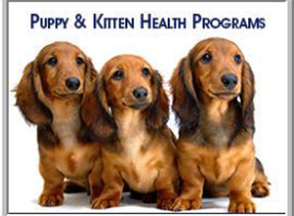 All Valley Pet Hospital - Santa Maria, CA