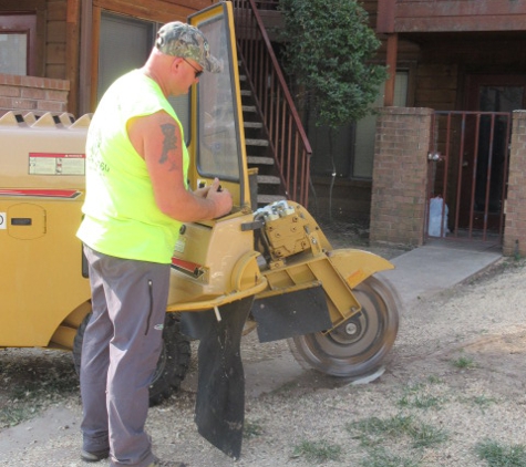 Aaron's Tree Service - Arlington, TX