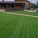 JA Castellanos Landscaping - Lawn Maintenance