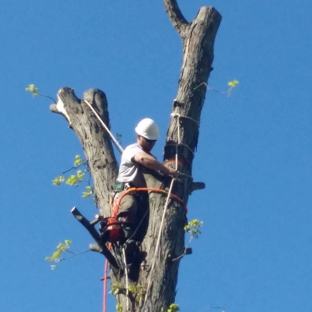 BranchWalker Tree Service - New Albany, IN