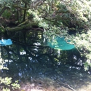 Juniper Springs Recreation Area - Camps-Recreational