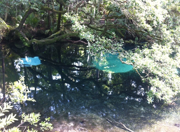 Juniper Springs Recreation Area - Silver Springs, FL