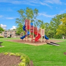 Pinewood Chase Apartments - Apartment Finder & Rental Service