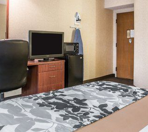 Baymont Inn & Suites - Flat Rock, MI