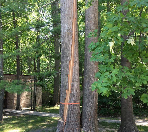 Parshall Tree Service LLC - Traverse City, MI