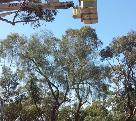 Blackwood Tree Service