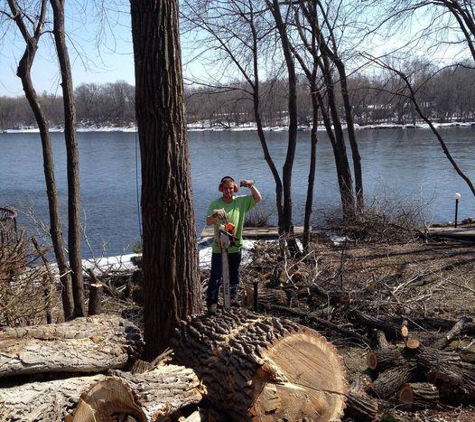 Hanson's Tree Service & Landscaping - Princeton, MN