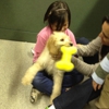 Petland Montgomery gallery