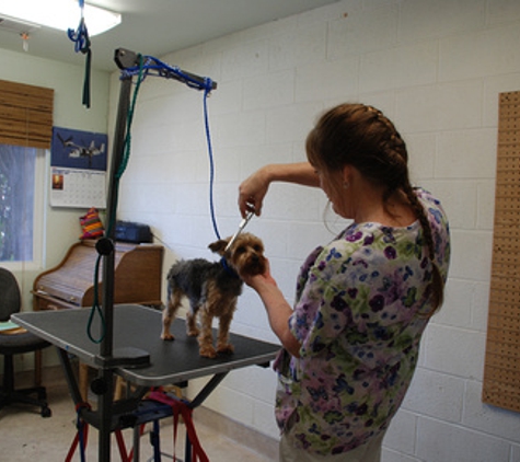 Acacia Boarding & Grooming - Chico, CA