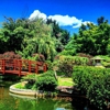 Hida Hibachi & Japanese Restaurant gallery