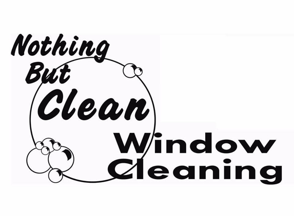 Nothing But Clean Window Cleaning - Plano, TX