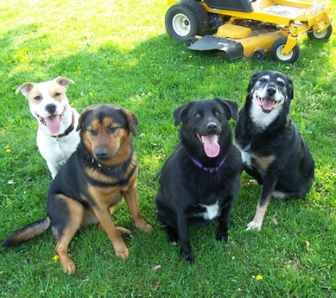 Funny Farm Petcare - Franklin, IN