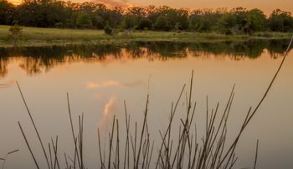 Night Bird Ranch - Ledbetter, TX