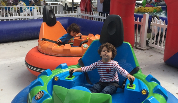 fun games - Princeton, FL. Bumper Cars