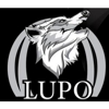 Lupo Dumpster Rentals and Junk Removal gallery