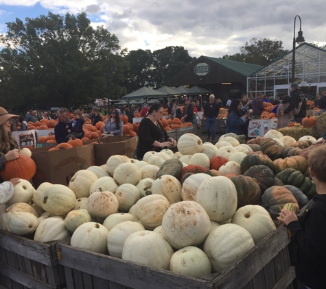 Linvilla Orchards - Media, PA