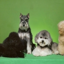 Doggie Depot - Pet Boarding & Kennels