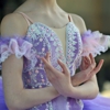 Norwalk Metropolitan Youth Ballet gallery