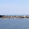 Barcelona Harbor Pier gallery