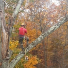 Staunton Tree Service Inc