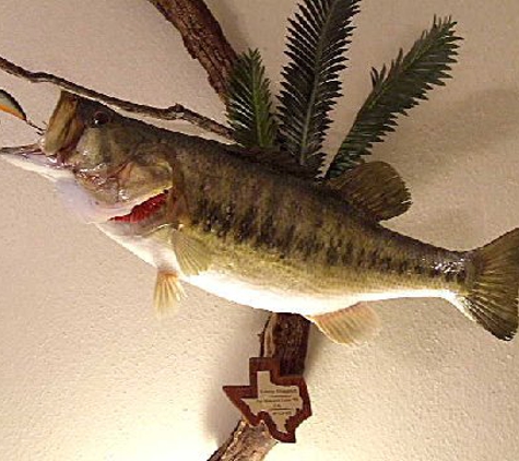 True-To-Nature Taxidermy - Palmyra, NY